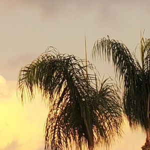 Meet your Posher, Marlene